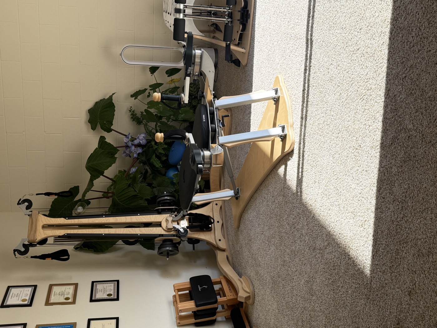 Gyrotonic session at Soluna Method studio